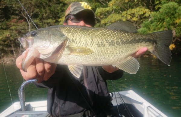 hideup 久次米良信 ブログ写真 2019/11/11