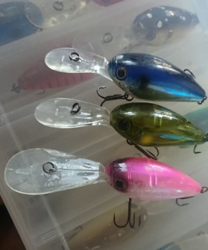 hideup 久次米良信 ブログ写真 2019/11/12