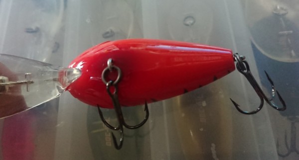 hideup 久次米良信 ブログ写真 2019/11/12