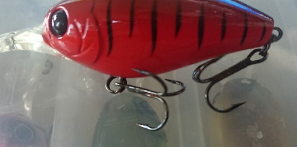 hideup 久次米良信 ブログ写真 2019/11/12