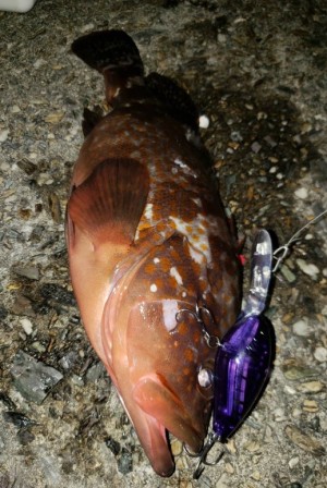 hideup 久次米良信 ブログ写真 2019/11/13