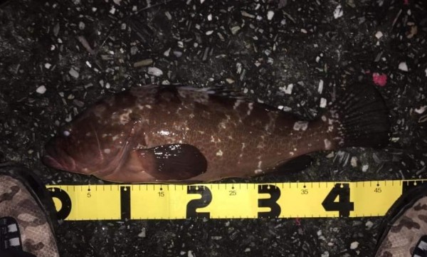 hideup 久次米良信 ブログ写真 2019/11/14