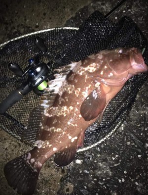 hideup 久次米良信 ブログ写真 2019/11/14