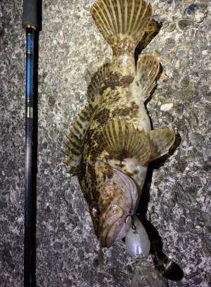 hideup 久次米良信 ブログ写真 2019/11/15