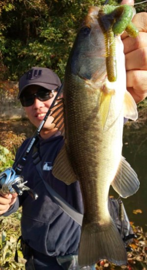 hideup 久次米良信 ブログ写真 2019/11/18