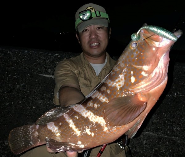 hideup 久次米良信 ブログ写真 2019/11/19