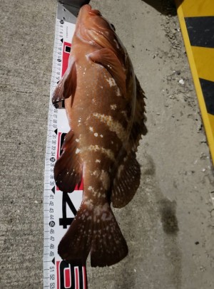 hideup 久次米良信 ブログ写真 2019/11/19