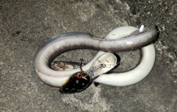 hideup 久次米良信 ブログ写真 2019/11/21