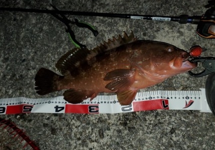 hideup 久次米良信 ブログ写真 2019/12/04