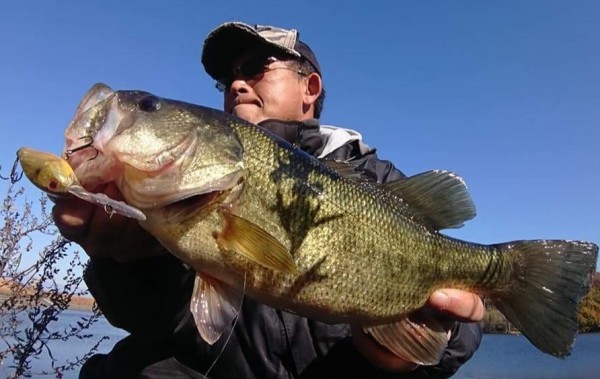 hideup 久次米良信 ブログ写真 2019/12/09