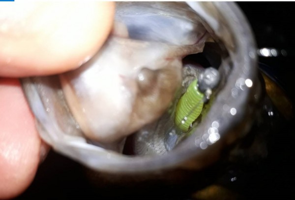 hideup 久次米良信 ブログ写真 2019/12/10