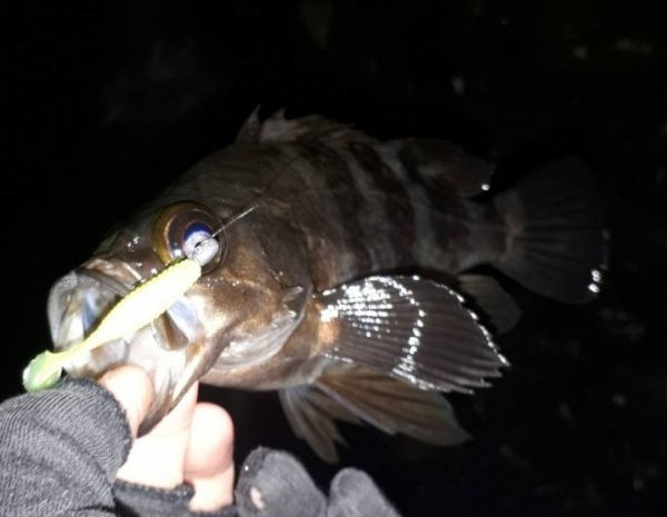 hideup 久次米良信 ブログ写真 2019/12/10