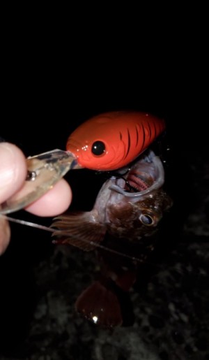 hideup 久次米良信 ブログ写真 2019/12/12