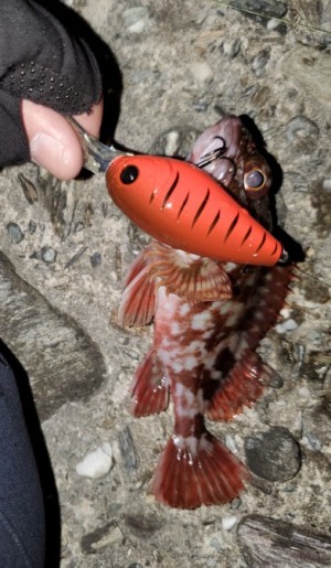 hideup 久次米良信 ブログ写真 2019/12/12