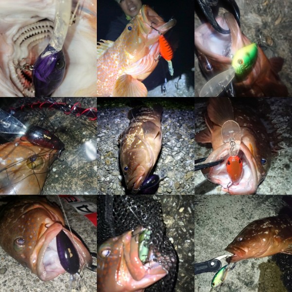 hideup 久次米良信 ブログ写真 2019/12/13