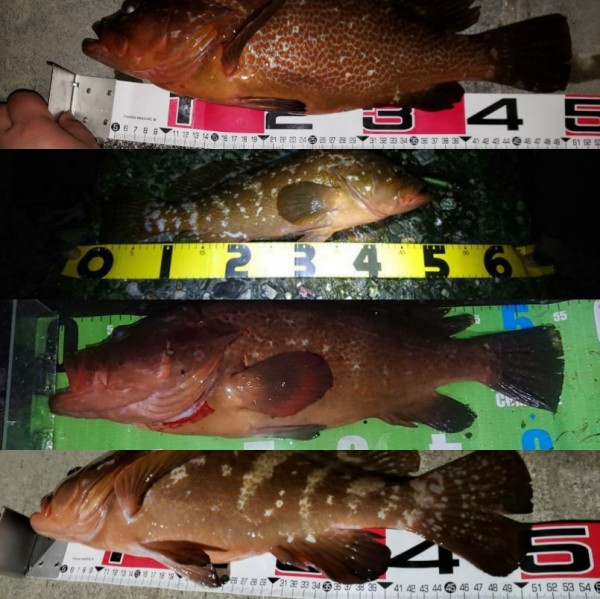 hideup 久次米良信 ブログ写真 2019/12/13