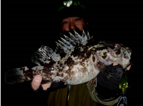 hideup 久次米良信 ブログ写真 2019/12/14