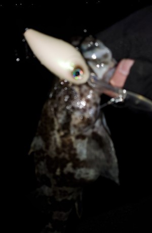 hideup 久次米良信 ブログ写真 2019/12/16