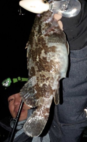 hideup 久次米良信 ブログ写真 2019/12/16