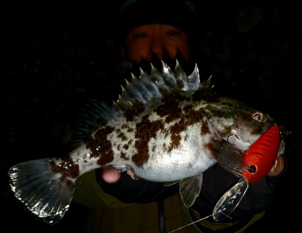 hideup 久次米良信 ブログ写真 2019/12/17