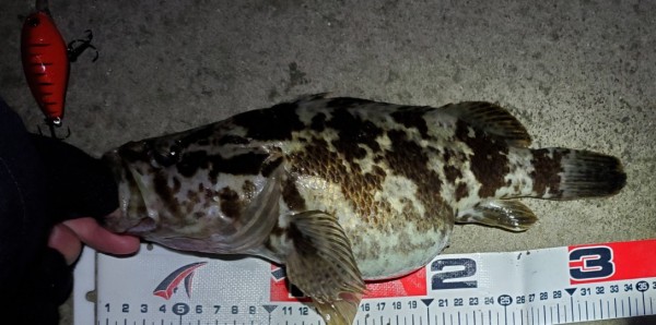 hideup 久次米良信 ブログ写真 2019/12/20