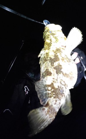 hideup 久次米良信 ブログ写真 2019/12/20