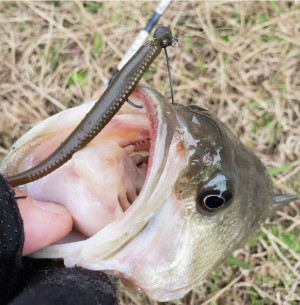 hideup 久次米良信 ブログ写真 2019/12/23