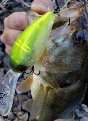 hideup 久次米良信 ブログ写真 2020/01/05