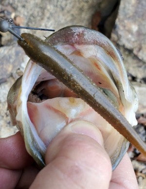 hideup 久次米良信 ブログ写真 2020/01/05