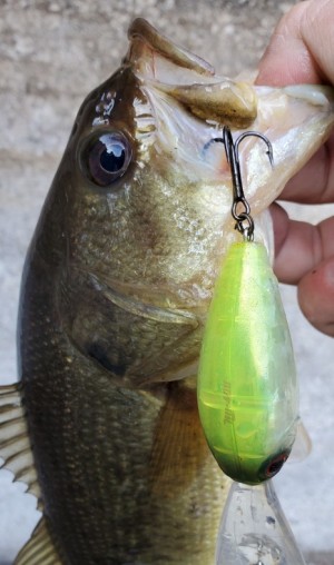 hideup 久次米良信 ブログ写真 2020/01/05