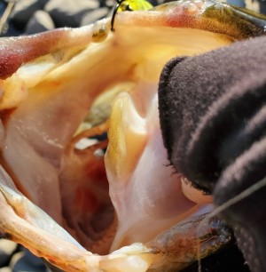 hideup 久次米良信 ブログ写真 2020/01/06