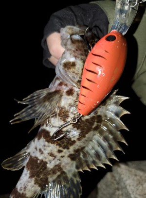 hideup 久次米良信 ブログ写真 2020/01/07