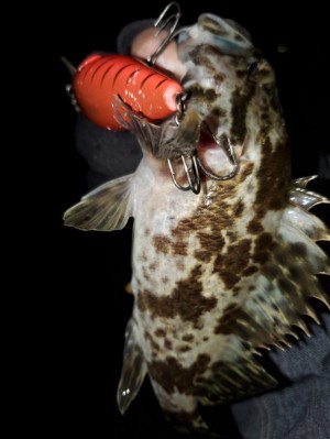 hideup 久次米良信 ブログ写真 2020/01/08