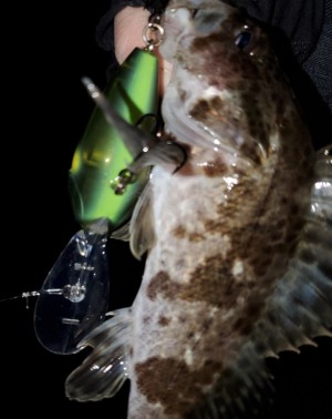 hideup 久次米良信 ブログ写真 2020/01/08