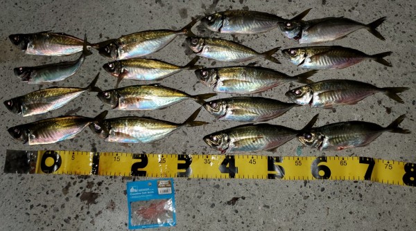 hideup 久次米良信 ブログ写真 2020/01/14