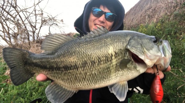 hideup 久次米良信 ブログ写真 2020/01/15