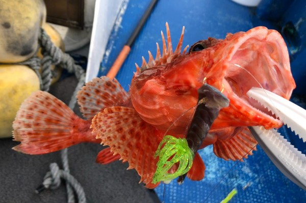 hideup 久次米良信 ブログ写真 2020/01/17