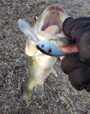 hideup 久次米良信 ブログ写真 2020/01/20