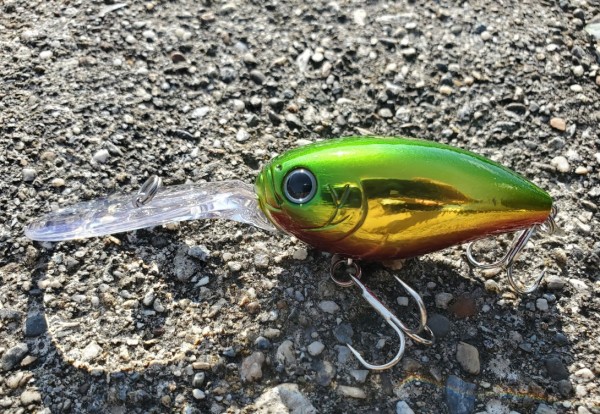 hideup 久次米良信 ブログ写真 2020/01/21