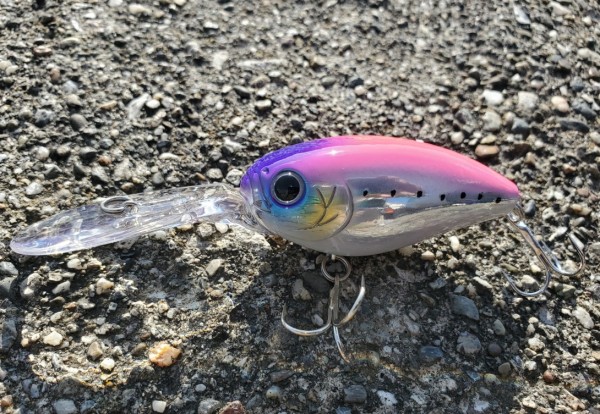 hideup 久次米良信 ブログ写真 2020/01/21