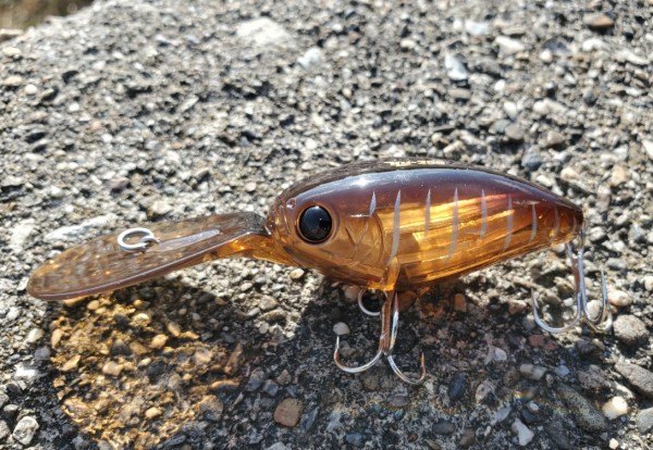 hideup 久次米良信 ブログ写真 2020/01/21