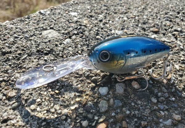 hideup 久次米良信 ブログ写真 2020/01/21