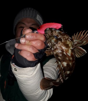 hideup 久次米良信 ブログ写真 2020/02/05