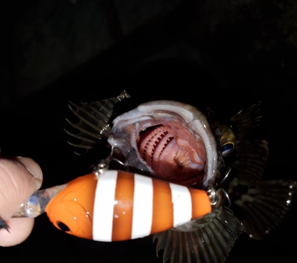 hideup 久次米良信 ブログ写真 2020/02/07