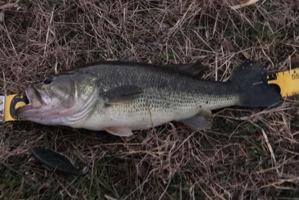 hideup 久次米良信 ブログ写真 2020/02/13