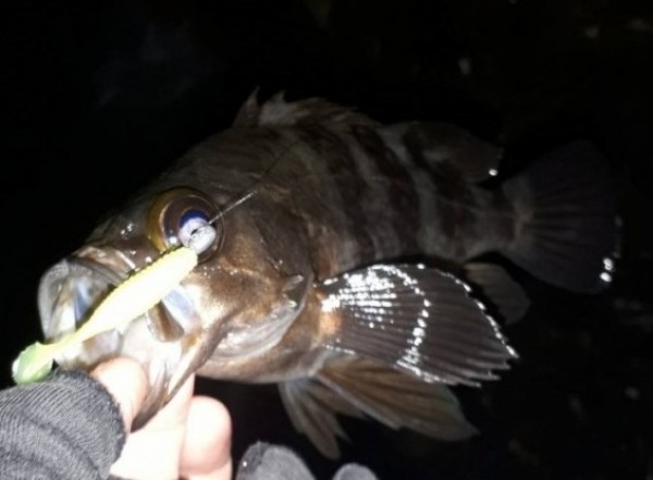 hideup 久次米良信 ブログ写真 2020/02/15