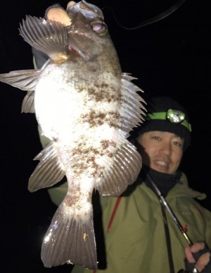 hideup 久次米良信 ブログ写真 2020/02/15