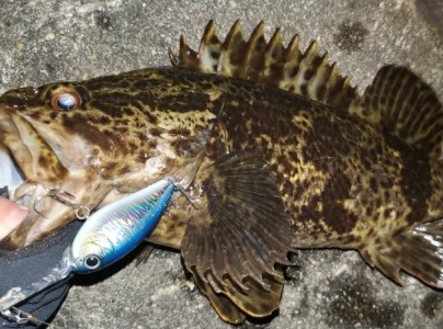 hideup 久次米良信 ブログ写真 2020/02/18