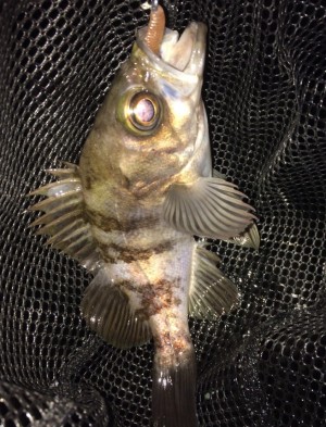 hideup 久次米良信 ブログ写真 2020/02/20