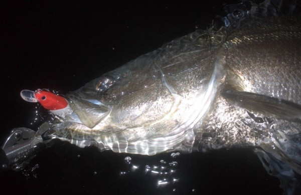 hideup 久次米良信 ブログ写真 2020/02/20